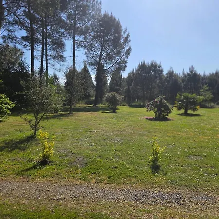 Maison Familiale Avec Jardin à Lit-et-mixe, 100 M² Hébergement de vacances
